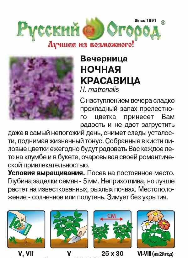 Вечерница Ночная красавица — фото 1