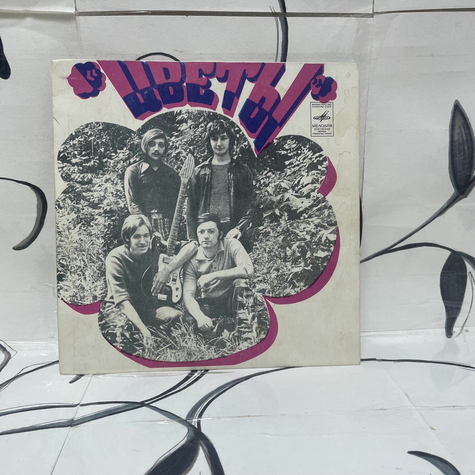 Виниловая пластинка мини-винил: Ансамбль Цветы. Ты и я.