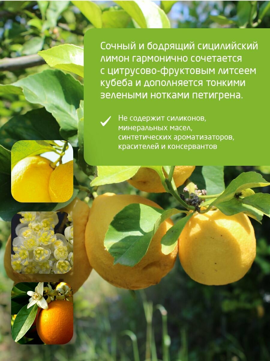 Weleda Цитрусовое освежающее и увлажняющее молочко для тела, 200 мл. — фото 1