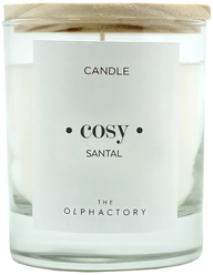 Свеча Ambientair The Olphactory Cosy Santal Сандал (VV401SATO) белый