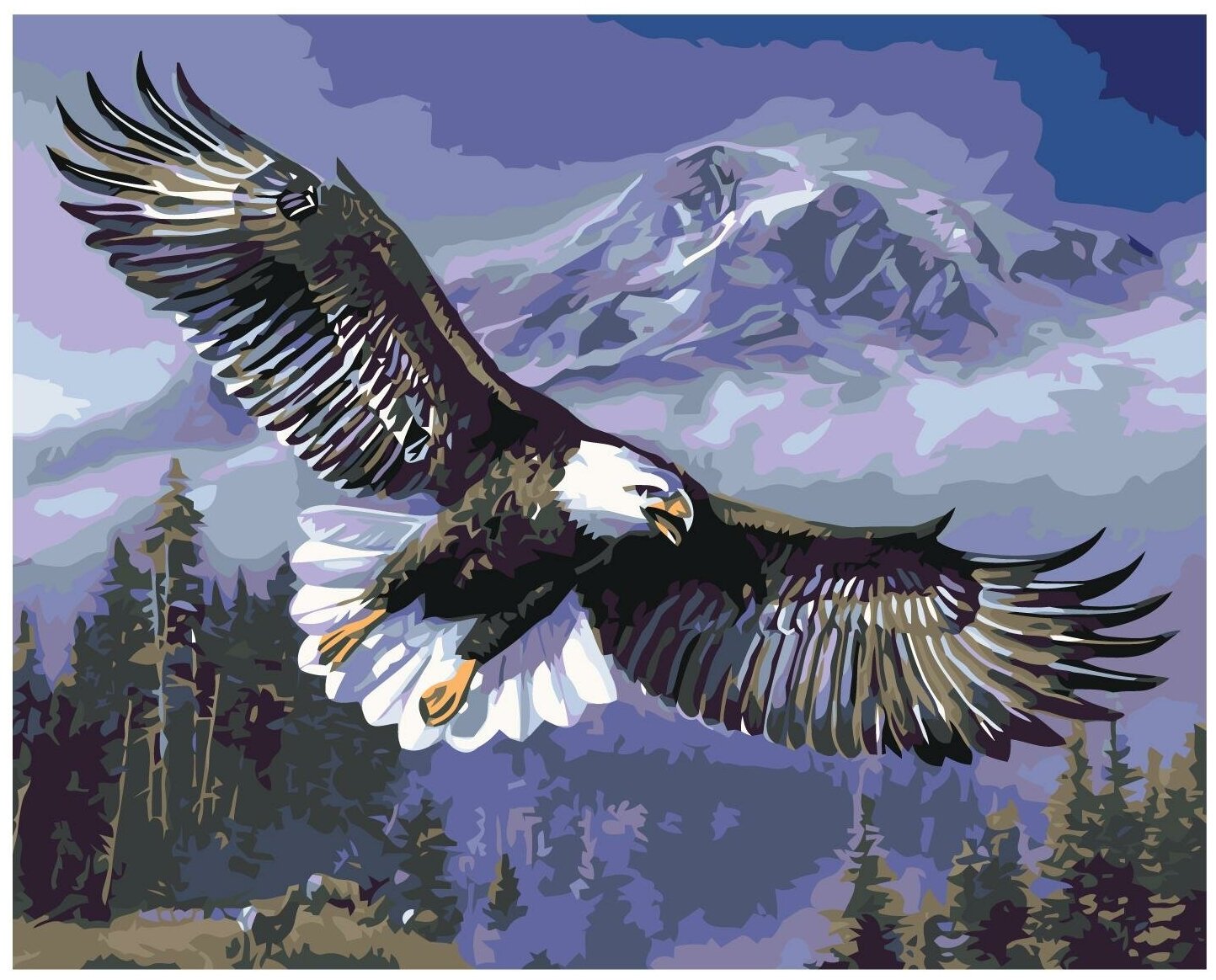 Парящий орлан Раскраска картина по номерам на холсте