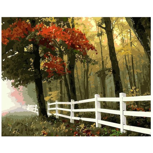 Картина по номерам на холсте Осенний лес 50х40