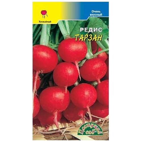 Семена Цветущий сад Редис Тарзан, 0,3 г семена цветущий сад редис сапсан f1 0 5 г