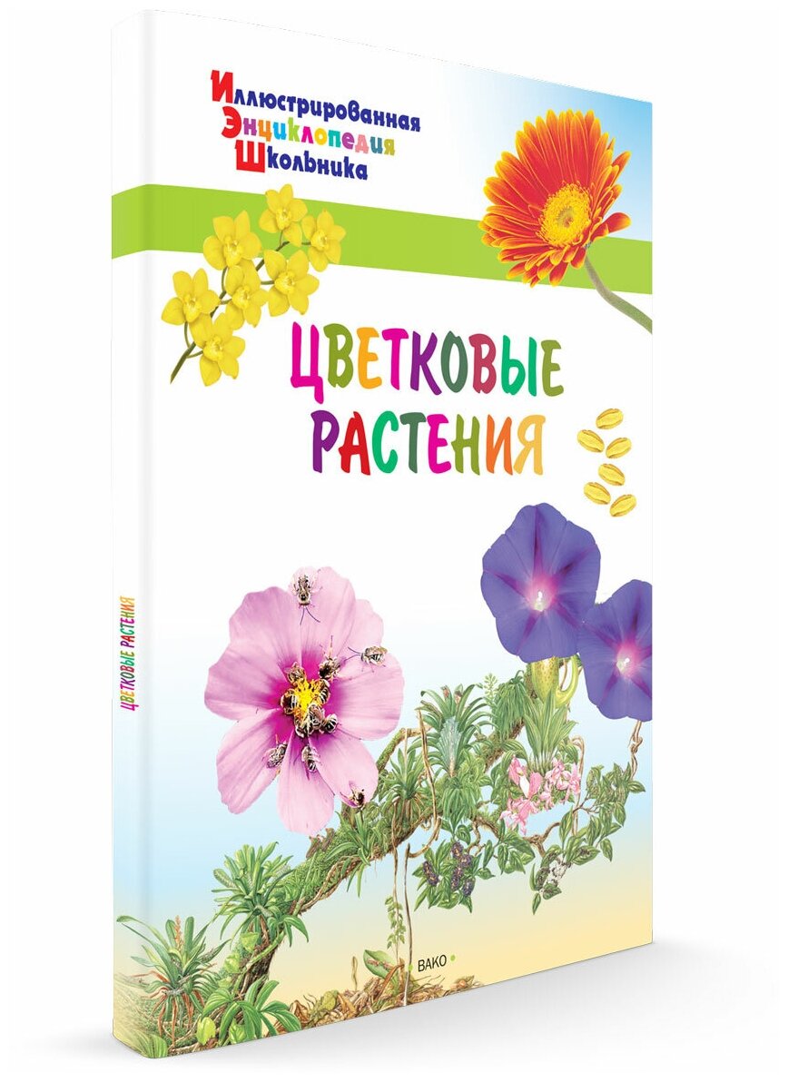 Цветковые растения. Иллюстрированная энциклопедия школьника. Орехов А. А.