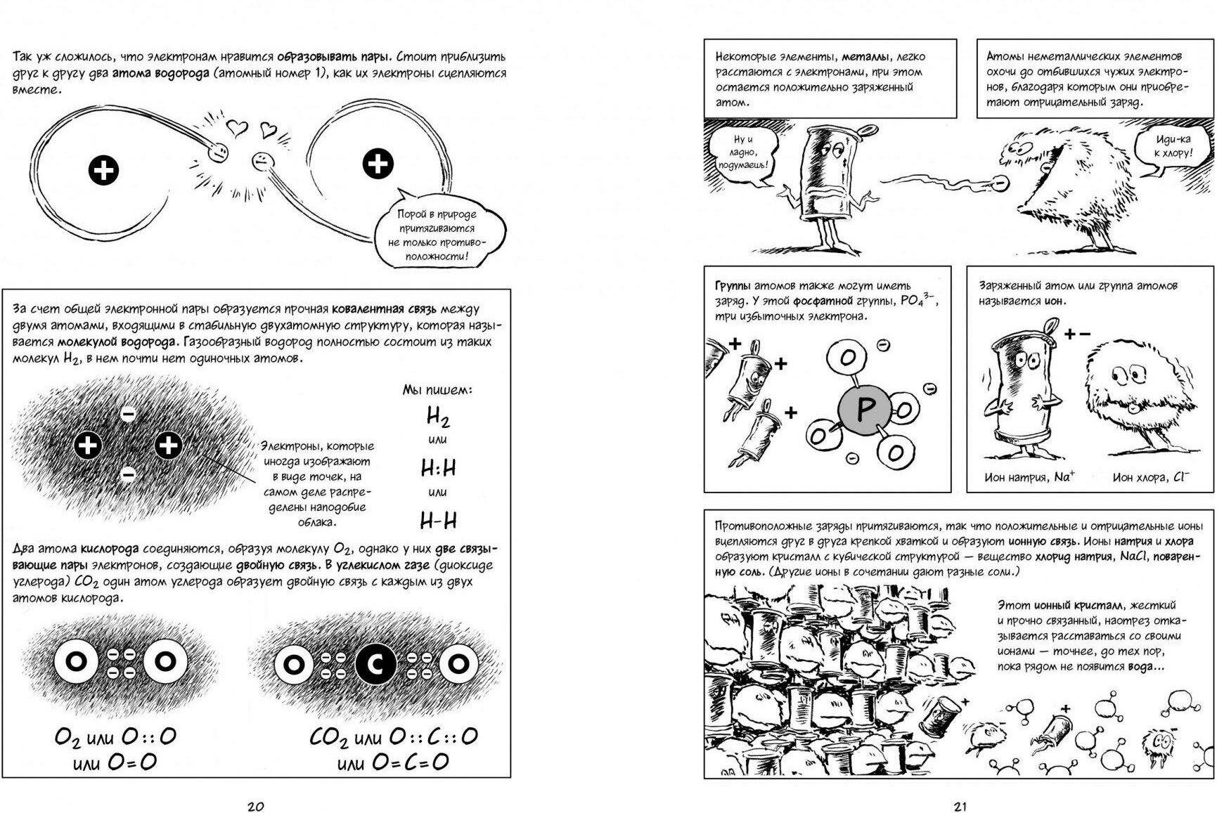 Книга Биология. Краткий курс в комиксах - фотография № 5