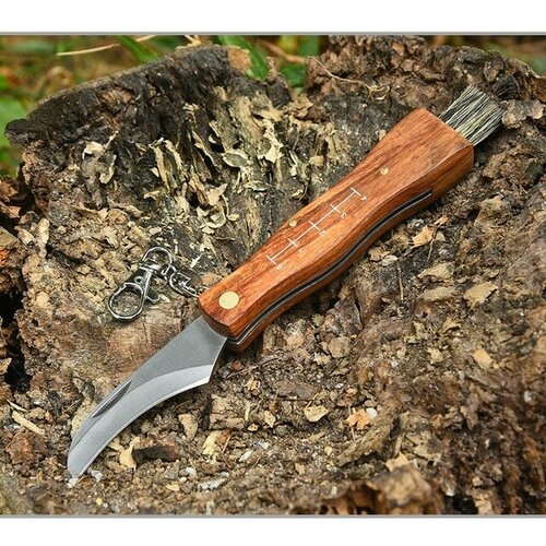 фото Нож грибника со щеточкой/нож для грибов luckvik