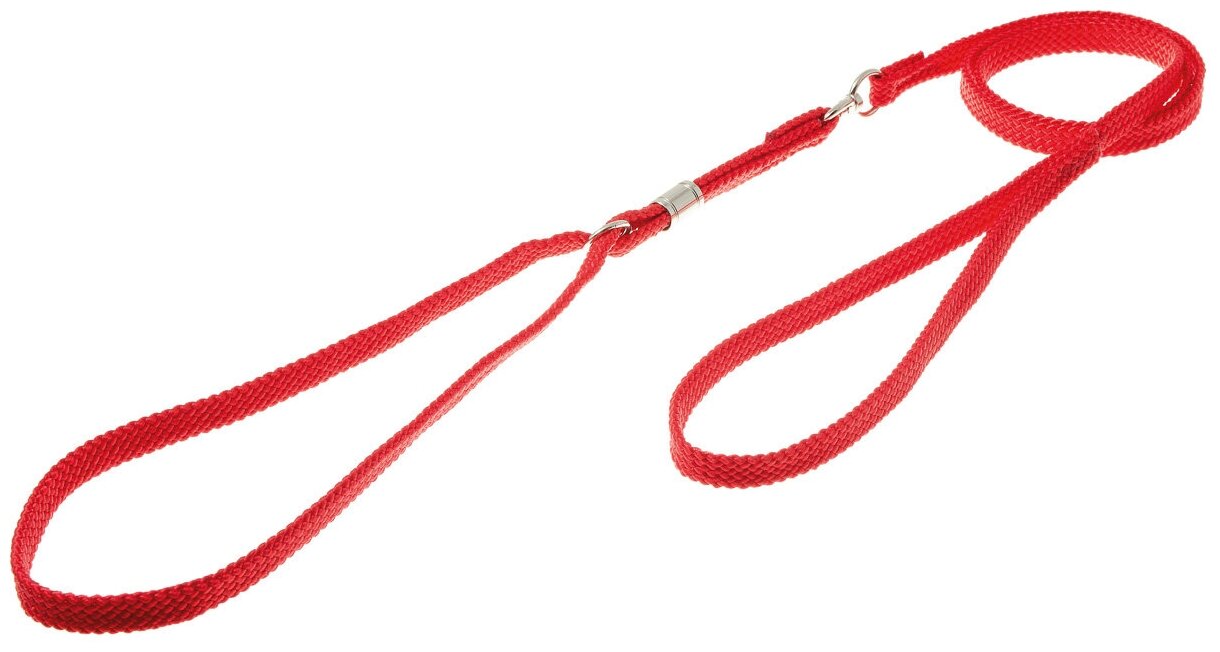 Ринговка для собак (поводок-удавка фиксирующая) для дрессировки и выставки / для средних и крупных пород, Zoo One с кольцом, 10 мм, красная / PEA-10 R