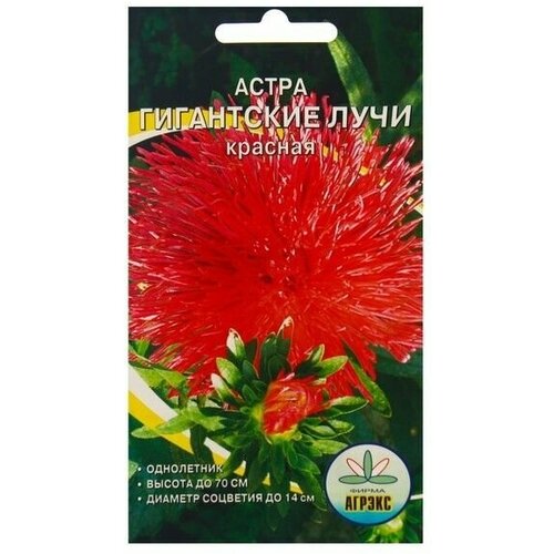 Семена Цветов Астра Гигантские лучи Красная, 0,2 г 14 упаковок