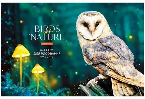 Альбом для рисования А4 32 листа (картонная обложка) Birds and nature (10549) (5 шт.)