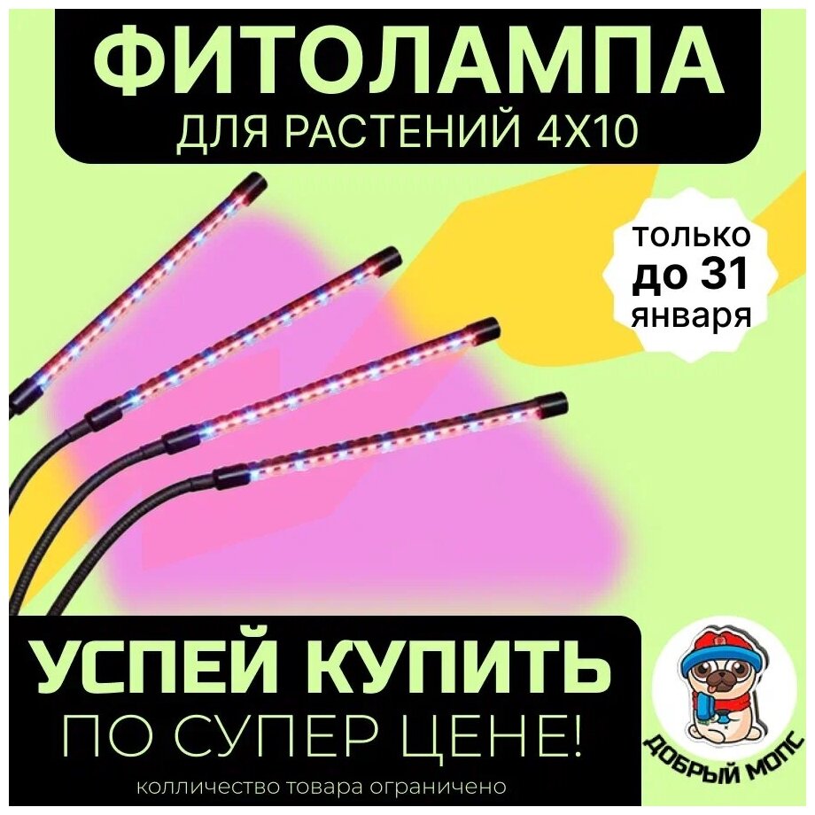 Фитолампа для растений и рассады с таймером отключения полный спектр 4х10 (40 Вт), черный - фотография № 1