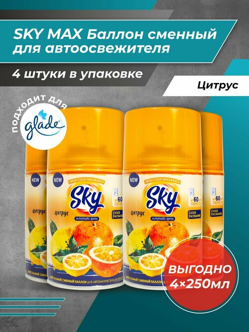 SKY MAX Освежитель для диспенсера Цитрус 250мл/4шт