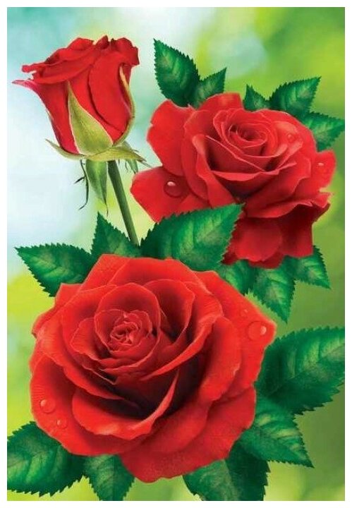 Алмазная мозаика на холсте с подрамником (картина стразами алмазная вышивка) Красные розы 40x50 см