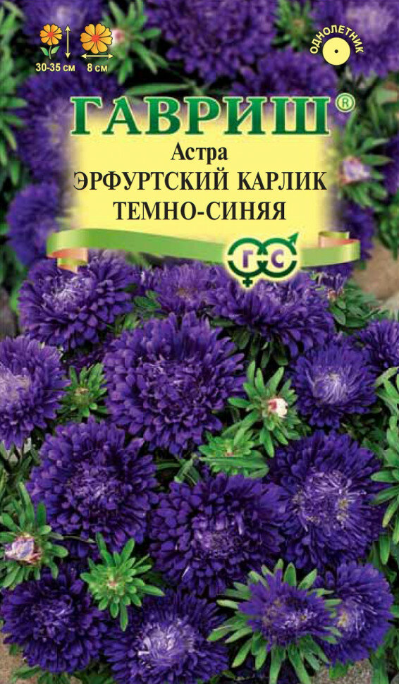 Семена Астра Эрфуртский карлик темно-синяя, 0,3г, Гавриш, Цветочная коллекция, 10 пакетиков