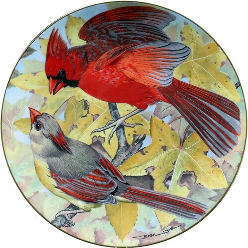 Красный Кардинал - коллекционная декоративная настенная винтажная тарелка из коллекции по работам Бэзил Эде, Limoges