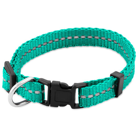 фото SAIVAL Classic Рефлекс Ошейник со светоотражающей вставкой S 10мм обхват 23-38 см зеленый