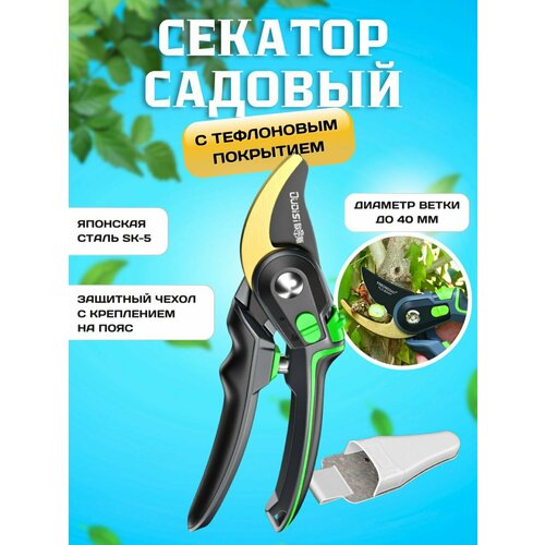 серый, бесцветный, золотистый, бежевый, желтый, зеленый, белый, черный, голубой, серебристый