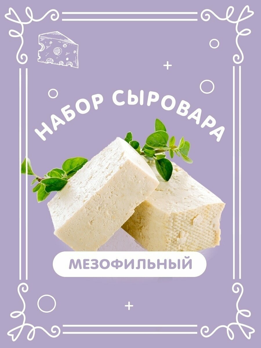 Набор сыродела Полезная партия мезофильный, для приготовления сыра