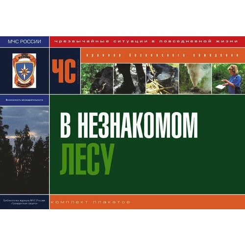 Комплект плакатов В незнакомом лесу (11 шт, А3) костер в лесу прокофьева