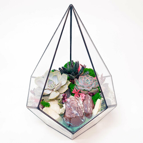 Флорариум с суккулентами 