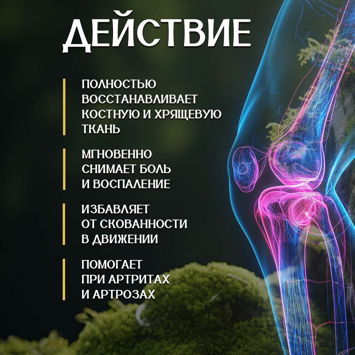 Гомеопатические Препараты Для Суставов И Позвоночника Кавказская мазь - Натуральное средство для суставов и связок
