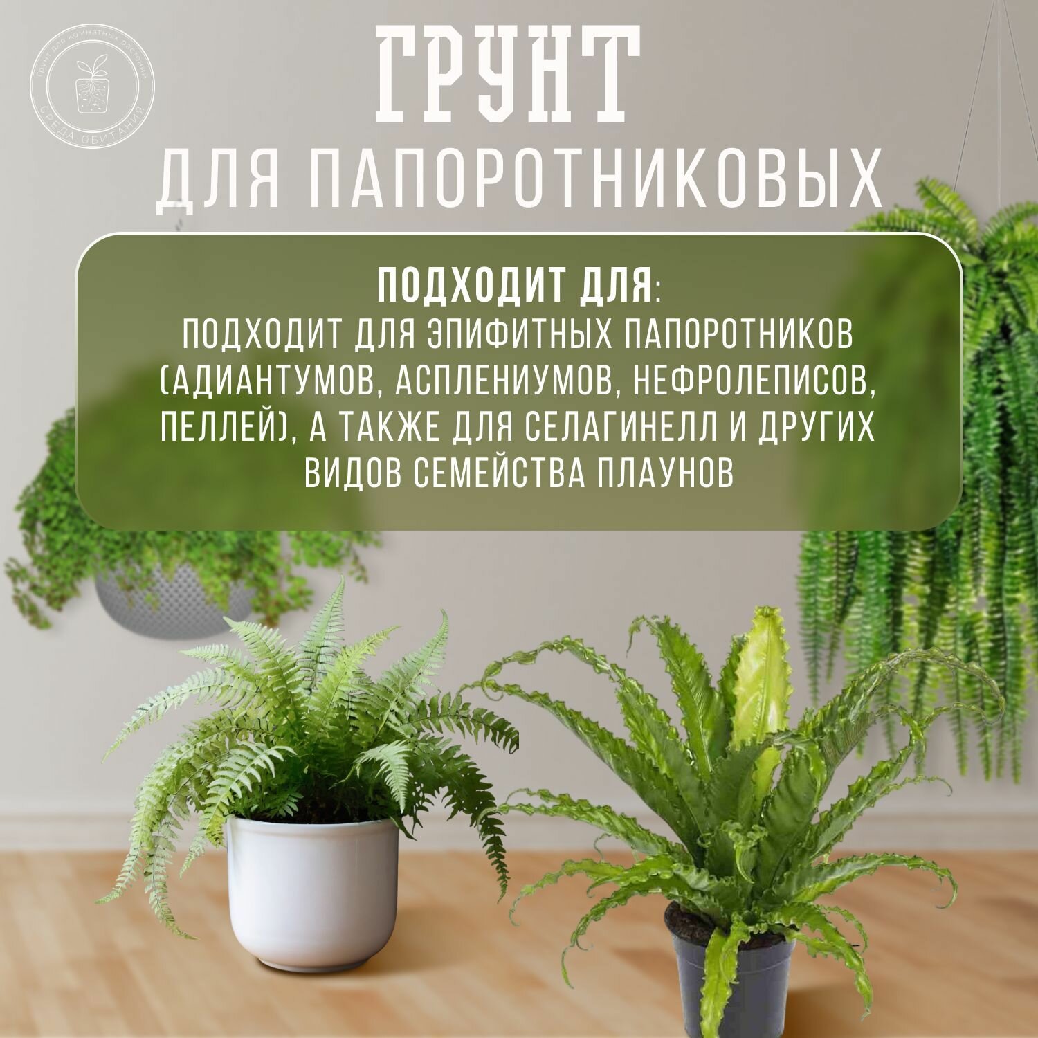 Изображение Грунт Среда обитания для папоротниковых: нефролеписа, адиантума, асплениума и др.
