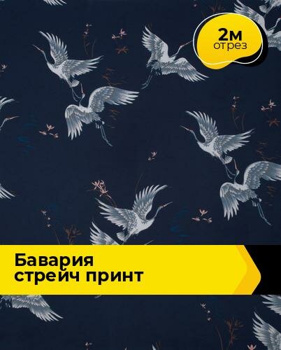 Ткань для шитья и рукоделия "Бавария" стрейч принт, отрез 2 м * 148 см, цвет мультиколор