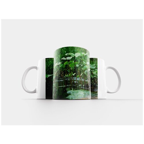 фото Кружка "вода, зеленый, водные растения" 320 мл lotsprints
