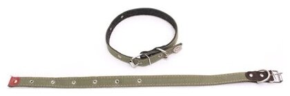 фото Бим ВМ180021 Ошейник брезентовый на фетре 20мм