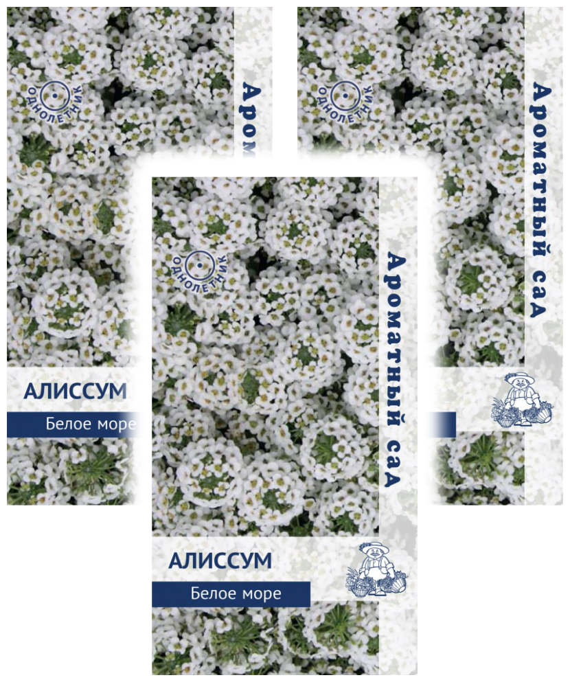 Комплект семян Алиссум Белое море коллекция Ароматный сад однолет. х 3 шт.