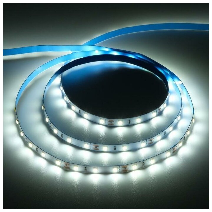 Светодиодная лента Ecola PRO, 12В, SMD5060, 5 м, IP20, 11Вт/м, 60 LED/м, 6000К