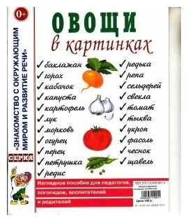 Овощи в картинках. Наглядное пособие для педагогов, логопедов, воспитателей и родителей - фото №2