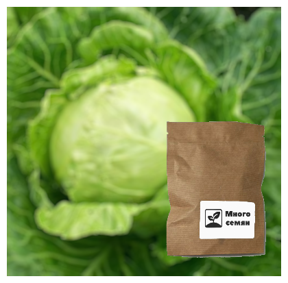 Семена капусты белокочанной 