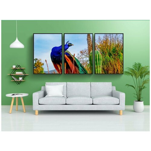 фото Набор модулных постеров для интерьера "павлин, азиатский, птица" 60x90 см. в тубусе, без рамки lotsprints