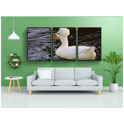 фото Набор модулных постеров для интерьера "белая хохлатая утка, водоплавающая птица, животное" 60x90 см. в тубусе, без рамки lotsprints