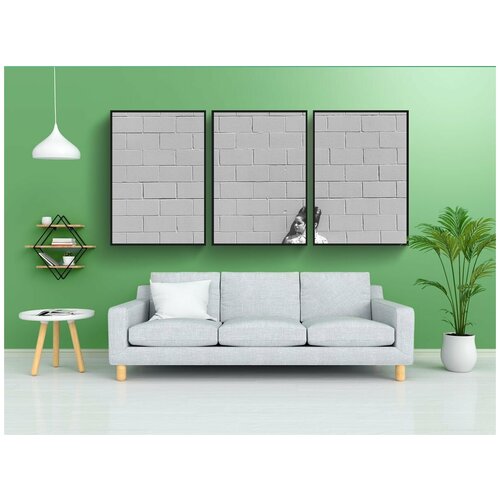 фото Набор модулных постеров для интерьера "монарх, черное и белое, белый" 60x90 см. в тубусе, без рамки lotsprints