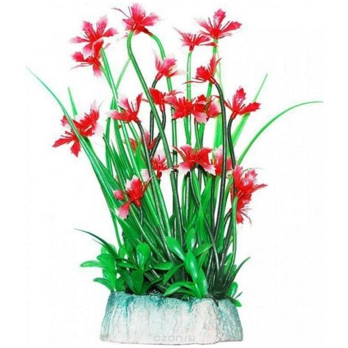 УЮТ Растение аквариумное 24см Гемиантус с красными цветами 0,27кг (ВК511) (1 шт)