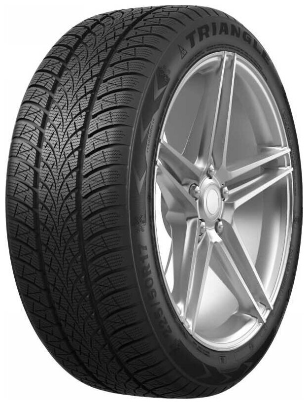 Шины Triangle WinterX TW401 195/55 R16 91H