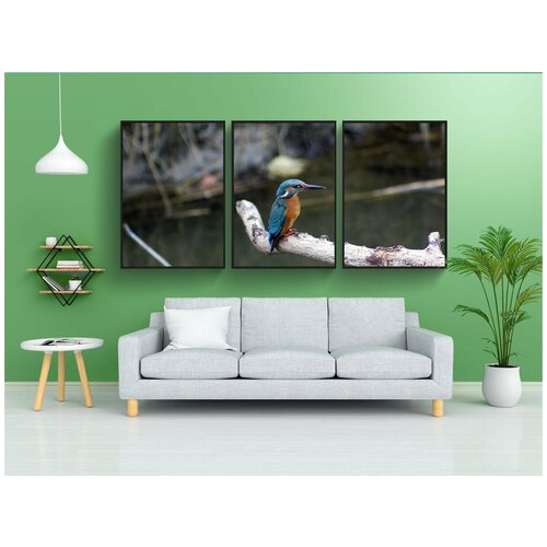 фото Набор модулных постеров для интерьера "зимородок, птица, природа" 60x90 см. в тубусе, без рамки lotsprints