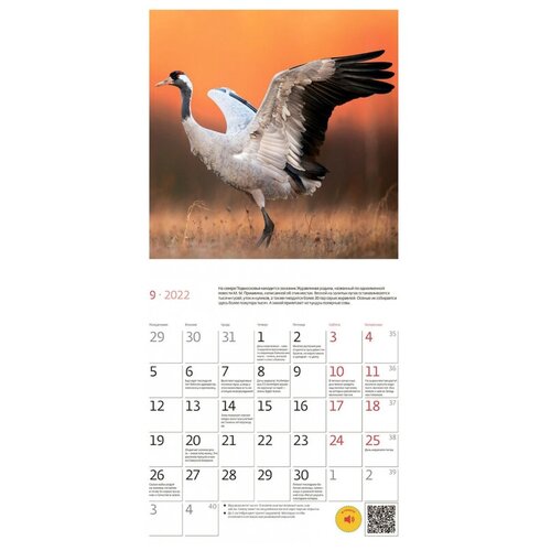Календарь настенный моноблочный, 2022 Природа России