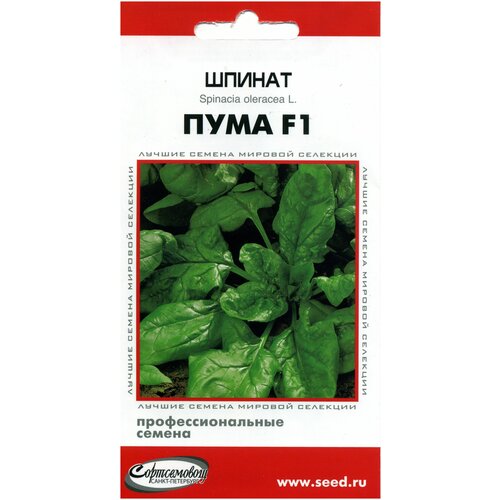 Шпинат Пума F1, 50 семян шпинат аполло f1 50 семян