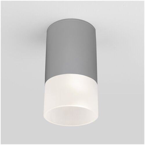 Уличный потолочный светильник Elektrostandard Light LED 2106 IP54 35139/H серый