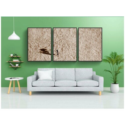 фото Набор модулных постеров для интерьера "муравей, тень, большой" 60x90 см. в тубусе, без рамки lotsprints