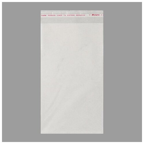 Пакет бопп с клеевым клапаном 14 х 26/3.5 см, 30 мкм (100 шт)