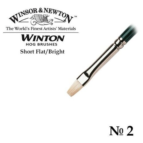 фото Кисть winsor&newton кисть щетина плоская укороченная №2 winsor&newton winton short flat winsor & newton