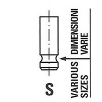 FRECCIA R6138/S Клапан впускной