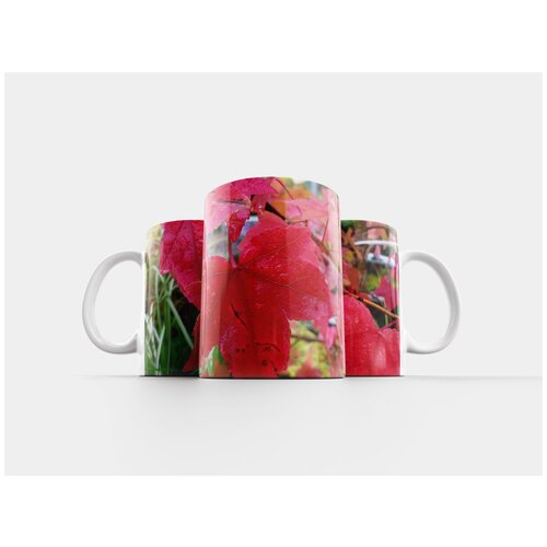 фото Кружка "декоративный клен, осенние листья, красный" 320 мл lotsprints