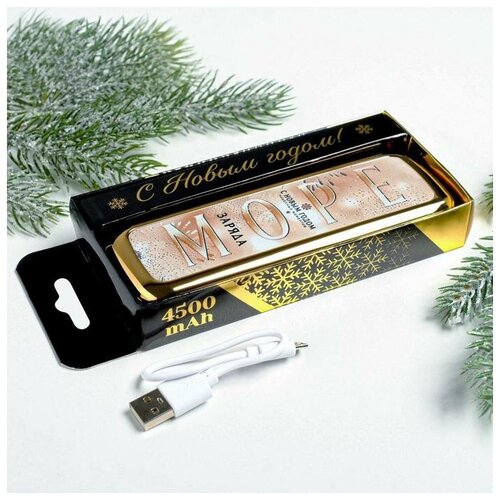 Портативный аккумулятор Море счастья 4500 mAh 35 х 13 см 120800₽