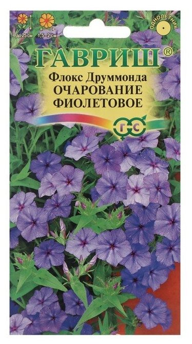 Семена цветов Флокс (Друммонда) "Очарование фиолетовое", 0,05 г