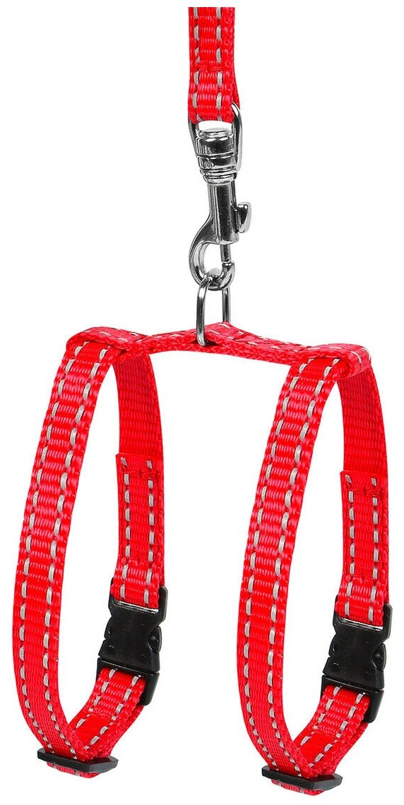  COLLAR Dog Extreme   ,        ( 10, 12-22)