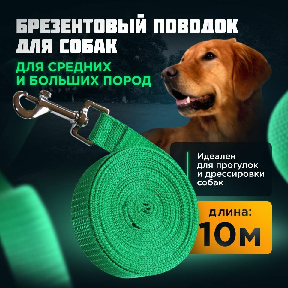 Поводок для средних, больших собак/ брезентовый с карабином/длина 10 м х ширина 2,5 см/Амуниция для животных